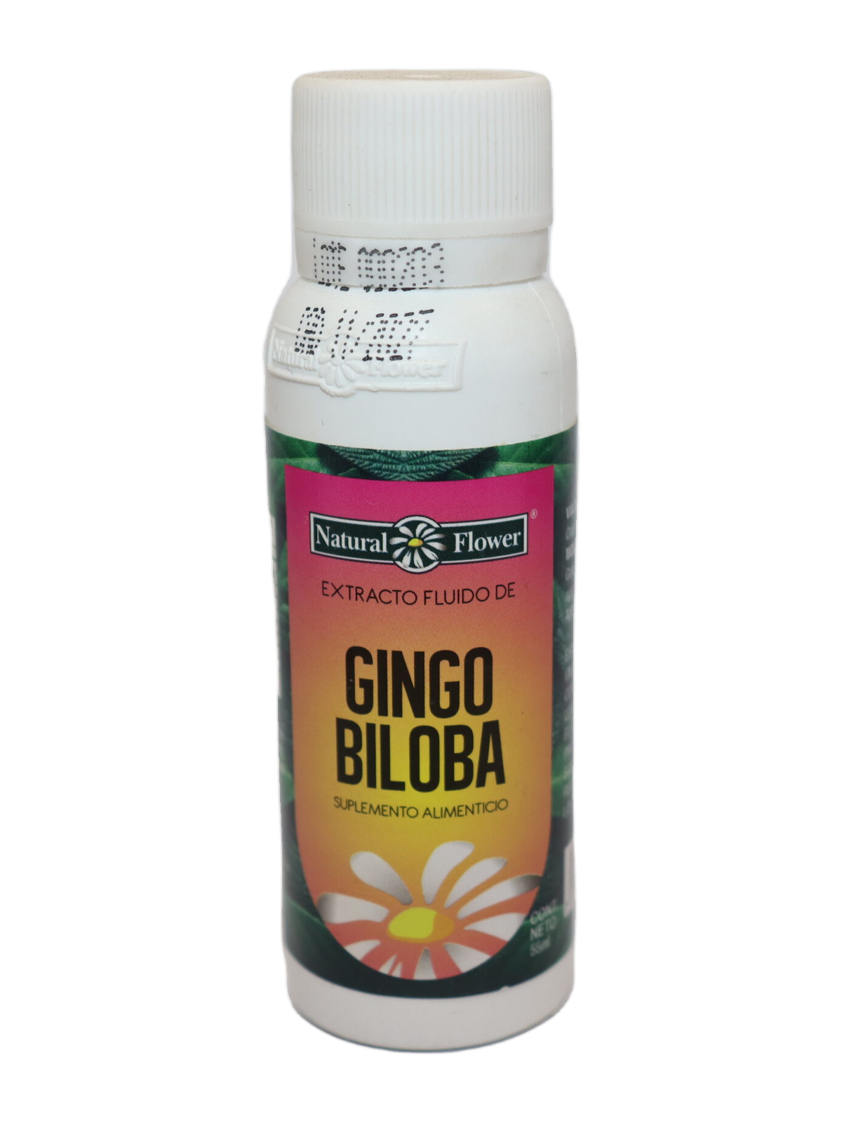 Ginkgo Biloba Extracto